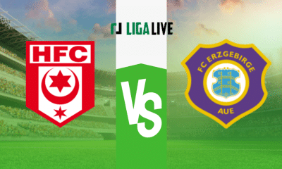 Hallescher FC &ndash; Erzgebirge Aue: Tipp, Prognose und Quote (08/04/2023)