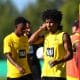 Freiburg &ndash; Dortmund: Tipp, Prognose und Quote (16/09/2023)