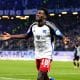 Holstein Kiel &ndash; HSV: Tipp, Prognose und Quote (11/11/2023)